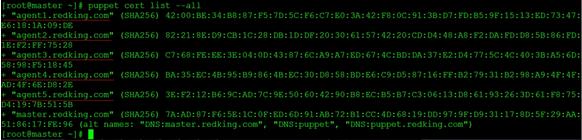 CentOS6.6+Puppet3.7.3ֲʽZabbix2.4ϵͳ