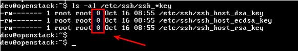 ޸sshd error: could not load host key