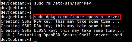 ޸sshd error: could not load host key