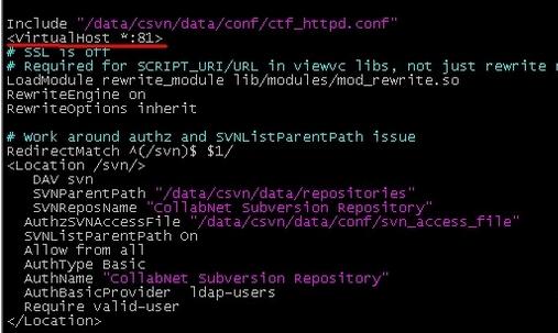 CentOS 6.2部署CSVN服务器