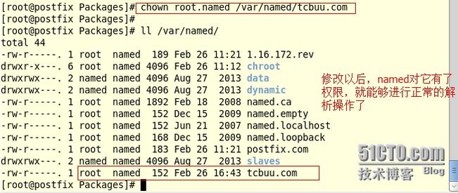 CentOS 6.5 DNSļȷ޷Ľ취