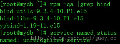 RedHat Linux AS 5.3下DNS的配置步骤