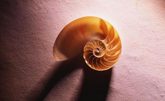 Shell脚本面试问题大全