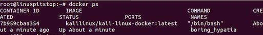 DockerKali Linux 2.0