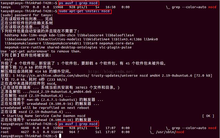 ubuntu 14.04 64 bitϿnscd񻺴ټdns