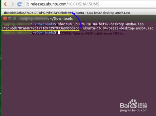 Ubuntu 16.04 BETA2װ񲢼SHA1ֵ