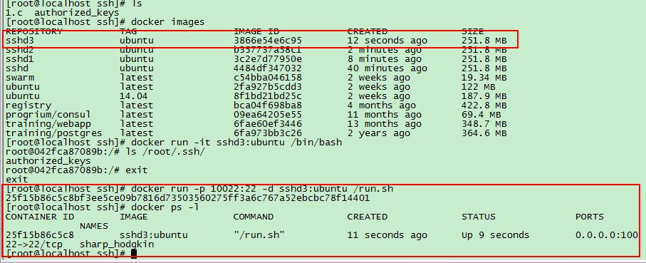 创建基于ssh的可以免密码登录的docker镜像 -
