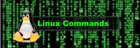每个Linux新手都应该记住的10个基本Linux命令