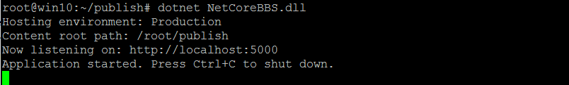 ASP.NET Core发布至Linux生产环境Ubuntu系统