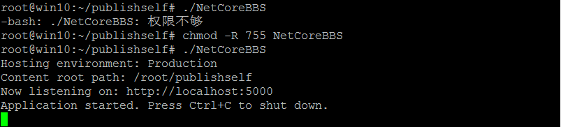 ASP.NET Core发布至Linux生产环境Ubuntu系统