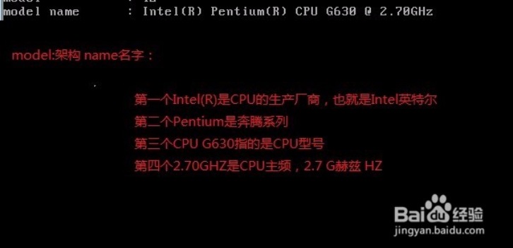 教你怎么在linux下查看cpu信息