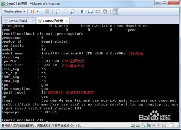 教你怎么在linux下查看cpu信息