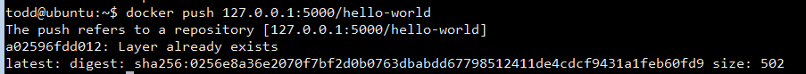 Ubuntu下使用Docker建立本地私有registry