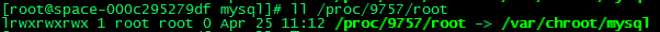 chroot MySQL on CentOSϵͳ