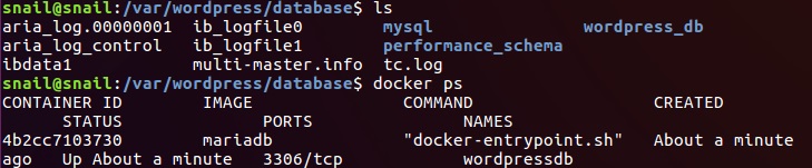 Docker部署WordPress-Ubuntu 16.04