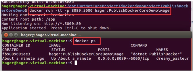 Ubuntu 16.04安装Docker,部署NetCore项目 - L