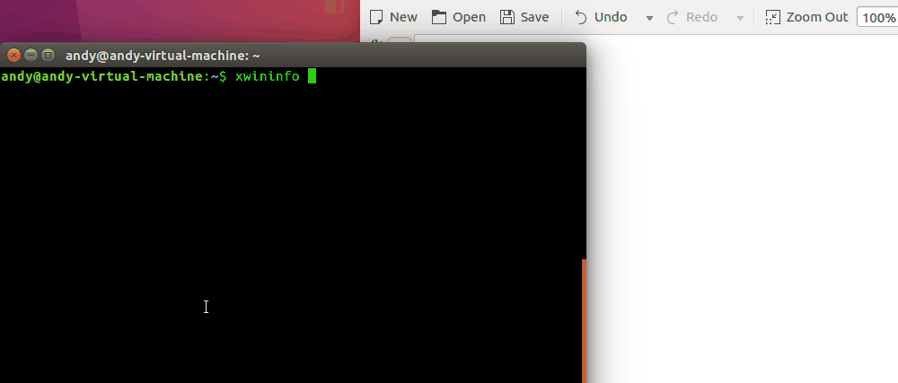 Ubuntu 16.10安装byzanz截取动态效果图工具