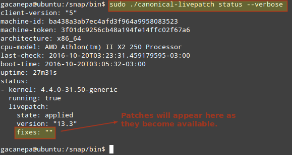 Livepatch——免重启给Ubuntu Linux内核打关键性安全补丁