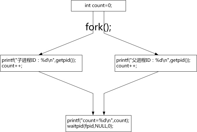 【Linux】fork()