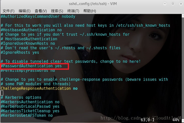kali linux 2016sshʵԶ̵¼