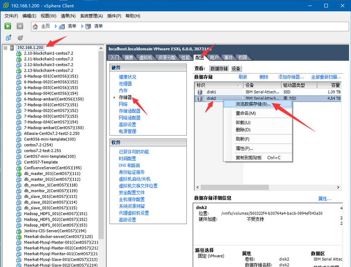 VSphere client¡