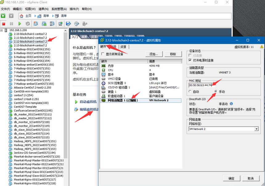 VSphere client¡
