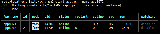在linux上的部署pm2管理工具的使用