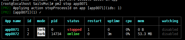 在linux上的部署pm2管理工具的使用