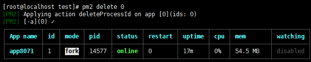 在linux上的部署pm2管理工具的使用