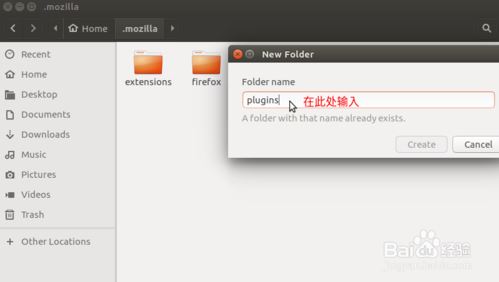 Ubuntu 17.04 FireFoxװ°flash