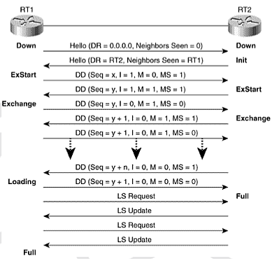 LinuxʹQuagga·-OSPFv2ѧϰ