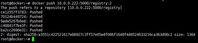 记录一下使用Ubuntu16.0.4配置和使用docker registry