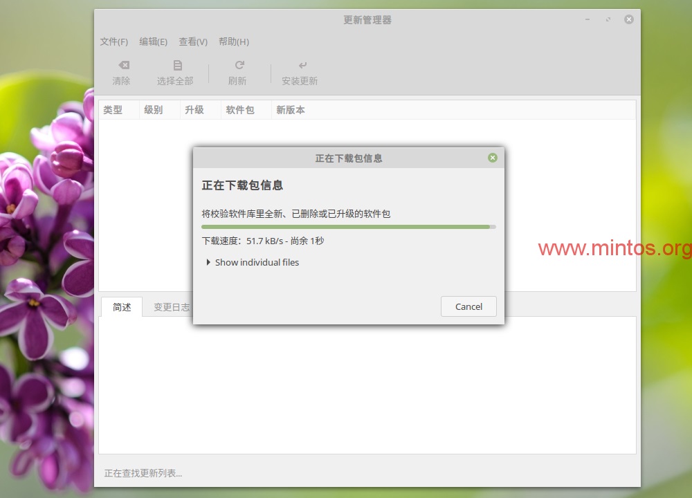 LinuxMint 18.118.2