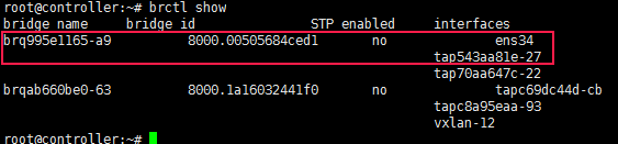 openstack中使用linux_bridge实现vxlan网络