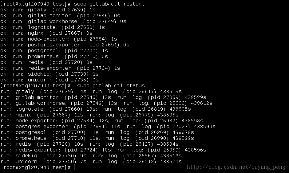 在CentOS系统上安装GitLab并自定义域名访问GitLab管理页面