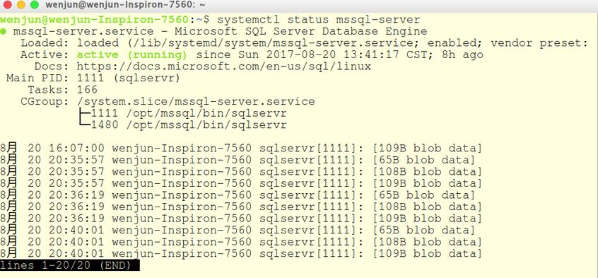 SQL SERVER 2017 FOR LINUX飨ֻ輸ɰװɹ