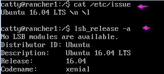 Ubuntu 16.04 Linuxϵͳںv4.12.9