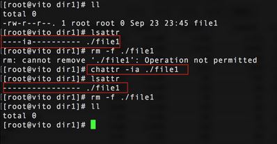 linux删除不了文件,修改文件属性也删除不了的一个解决思路
