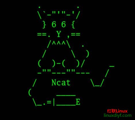 10ӽѧncat(nc)