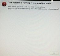 ʾthe system is running in low-graphics modeĽ
