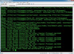CentOS6.5+Puppet3.7.3װü