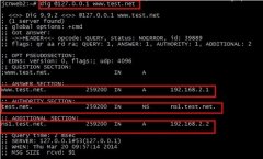 DebianBind9.9.2+MySQL㶨DNS