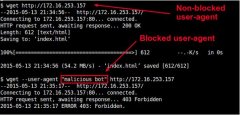 LinuxϵͳѧϰNginxֹضûUA
