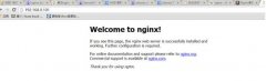 Nginx+Apache⸺