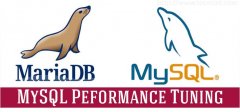 15õMySQL/MariaDBܵŻ