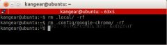 LinuxInput/output error