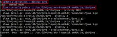 LinuxʱشLinuxиıĬϵJava汾