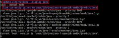 LinuxʱشLinuxиıĬϵJava汾