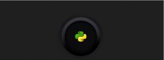 Python漼