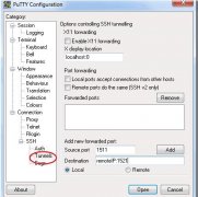 puttySSH tunnelOracle